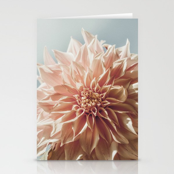 Always the Optimist  pink dahlia botanical flower photograph Stationery Card Gallery Image 2