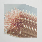 Always the Optimist  pink dahlia botanical flower photograph Wrapping Paper Gallery Image 3
