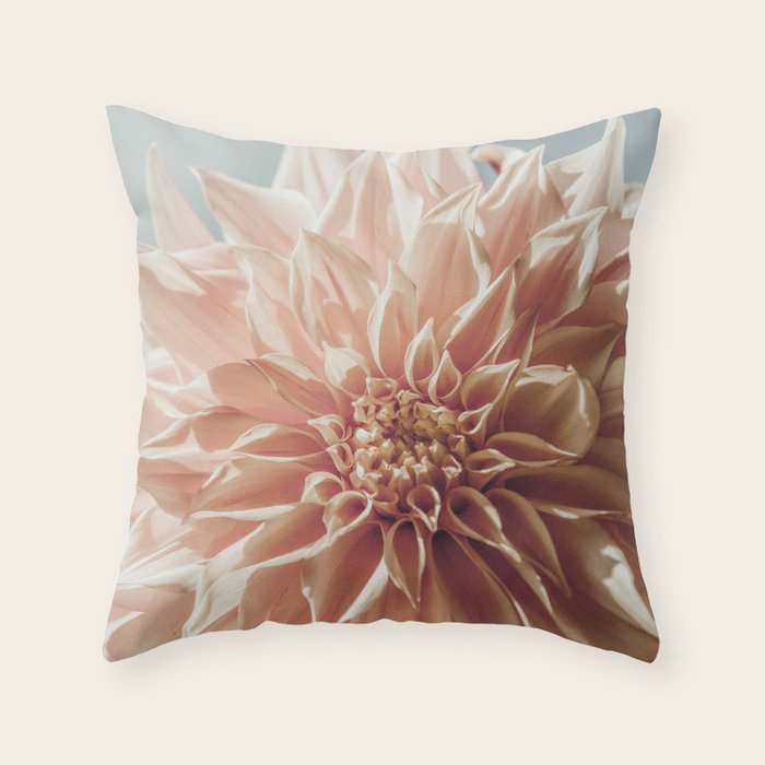 Always the Optimist  pink dahlia botanical flower photograph Throw Pillow Gallery Image 6