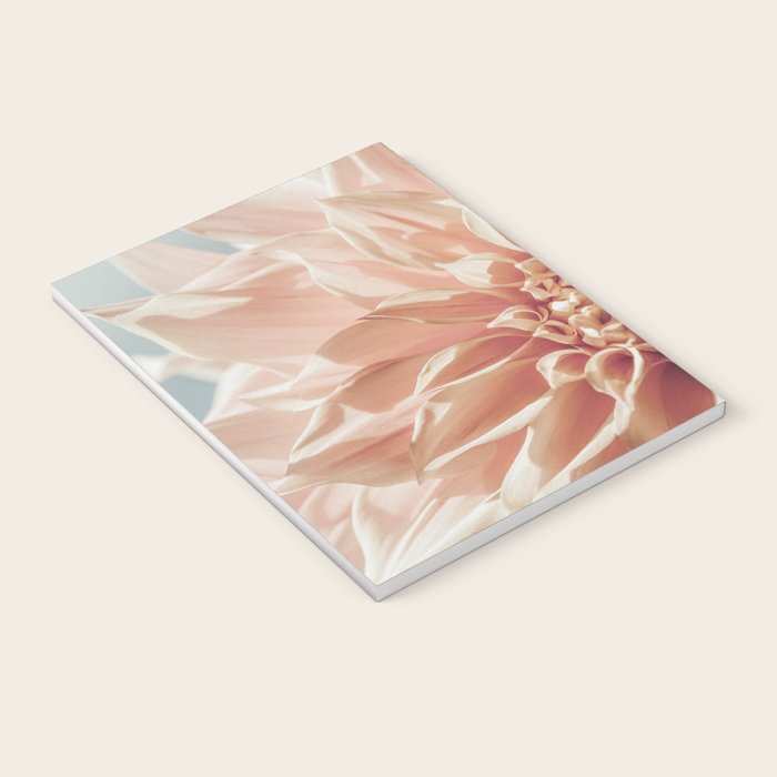 Always the Optimist  pink dahlia botanical flower photograph Notebook Gallery Image 3