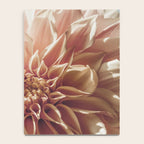 Always the Optimist  pink dahlia botanical flower photograph Notebook Gallery Image 4