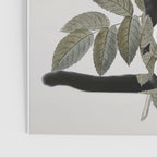 Cat With Flowers Poster Gallery Image 3