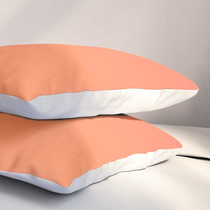 097 Sherbet Shandy Pillow Sham Gallery Image 3