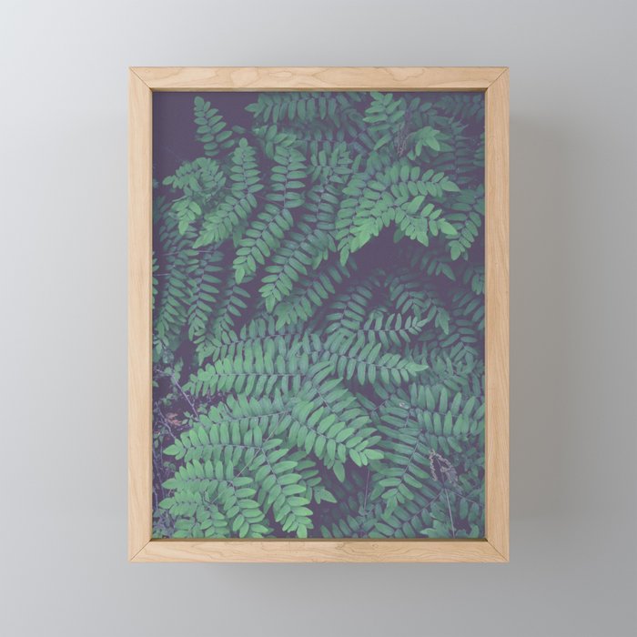 Green Woodland Fern forest leaf nature photograph Mini Art Print Gallery Image 1