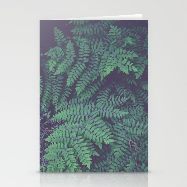 Green Woodland Fern forest leaf nature photograph Stationery Card Gallery Image 1