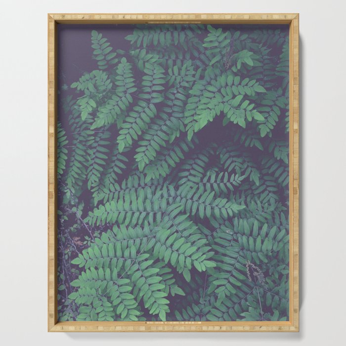Green Woodland Fern forest leaf nature photograph Serving Tray Gallery Image 1