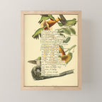 Ruby-throated Hummingbird Divination from # An Almanac of Birds # Divinations for Uncertain Days Mini Art Print Gallery Image 1