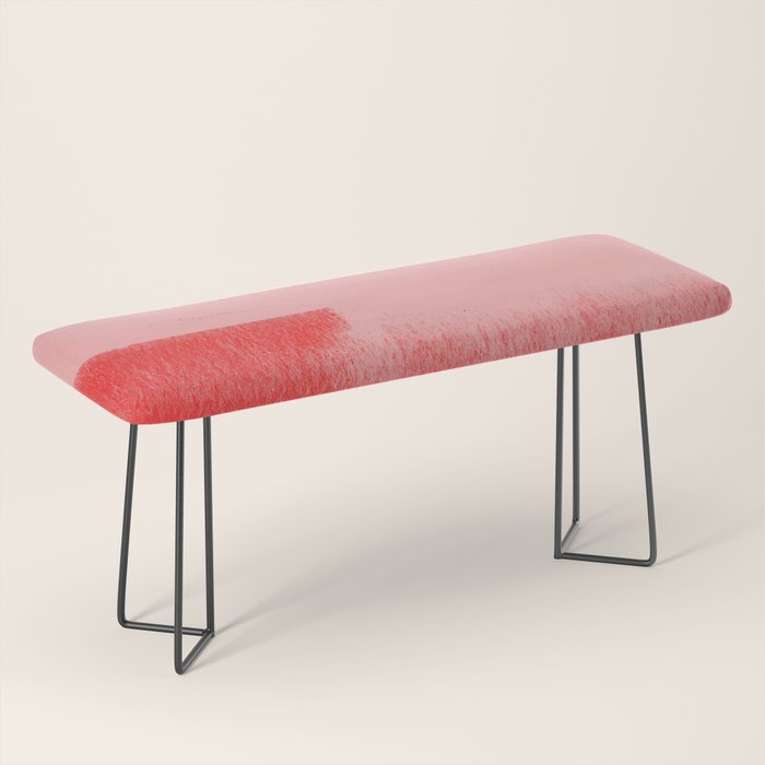 Dynamic Duo Bench Gallery Image 1