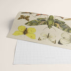 Vintage Scientific Moth Chart Wrapping Paper Gallery Image 2