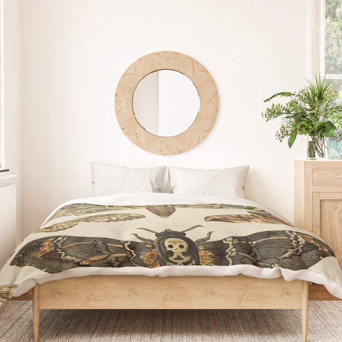 Vintage Scientific Moth Chart Duvet Cover Gallery Image 3