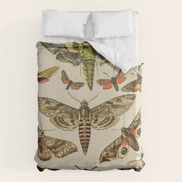 Vintage Scientific Moth Chart Duvet Cover Gallery Image 6