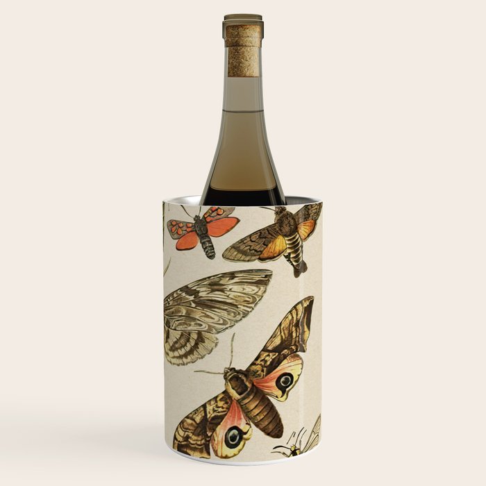 Vintage Scientific Moth Chart Wine Chiller Gallery Image 3