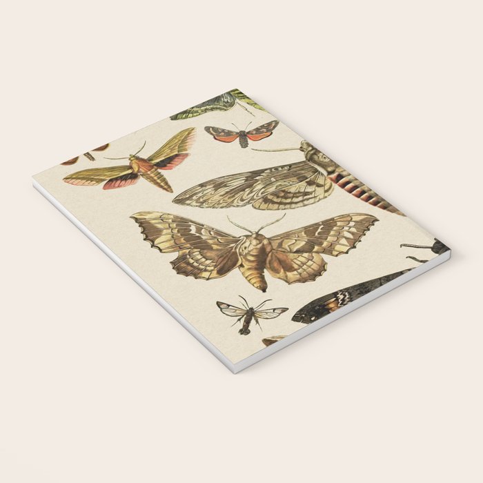 Vintage Scientific Moth Chart Notebook Gallery Image 3