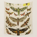 Vintage Scientific Moth Chart Wall Tapestry Gallery Image 4