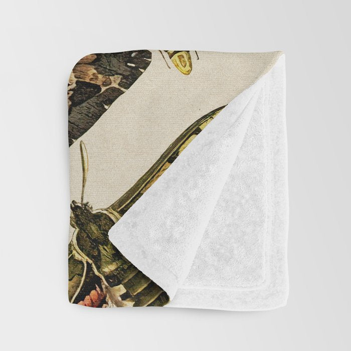 Vintage Scientific Moth Chart Throw Blanket Gallery Image 3