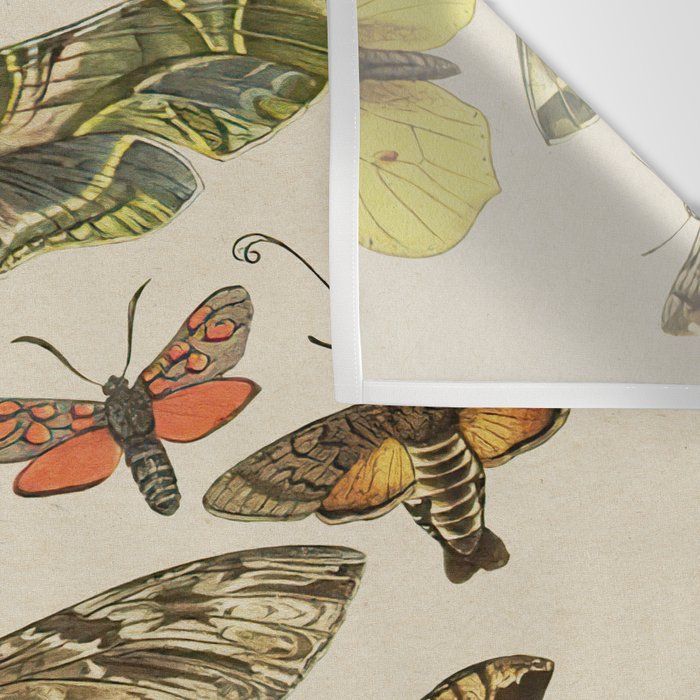 Vintage Scientific Moth Chart Wall Tapestry Gallery Image 3