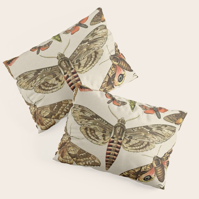 Vintage Scientific Moth Chart Pillow Sham Gallery Image 3