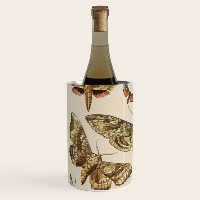 Vintage Scientific Moth Chart Wine Chiller Gallery Image 2