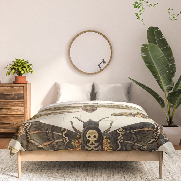 Vintage Scientific Moth Chart Comforter Gallery Image 3