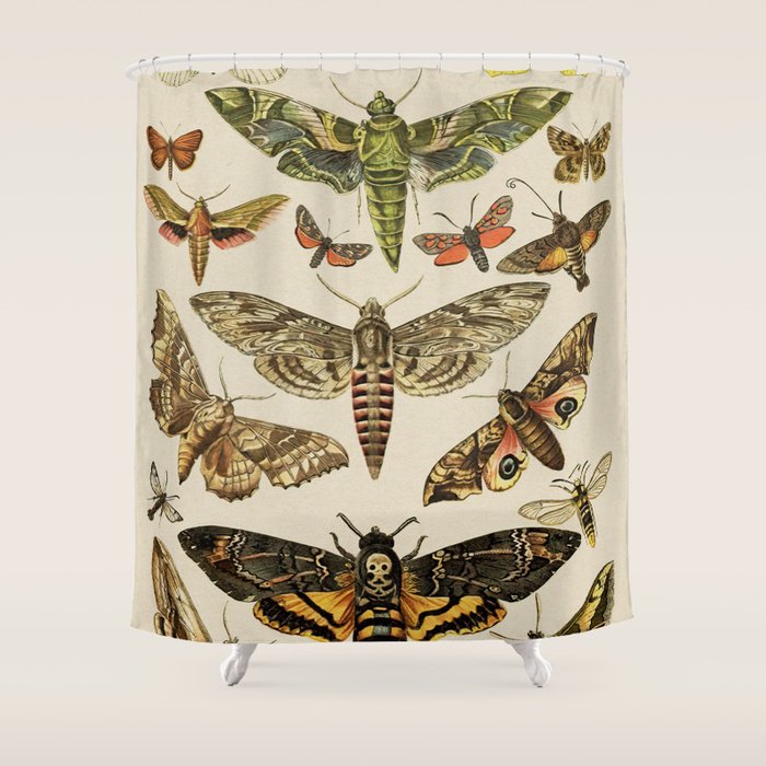 Vintage Scientific Moth Chart Shower Curtain Gallery Image 1