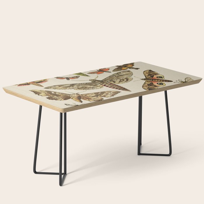 Vintage Scientific Moth Chart Coffee Table Gallery Image 1
