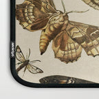 Vintage Scientific Moth Chart Laptop Sleeve Gallery Image 3