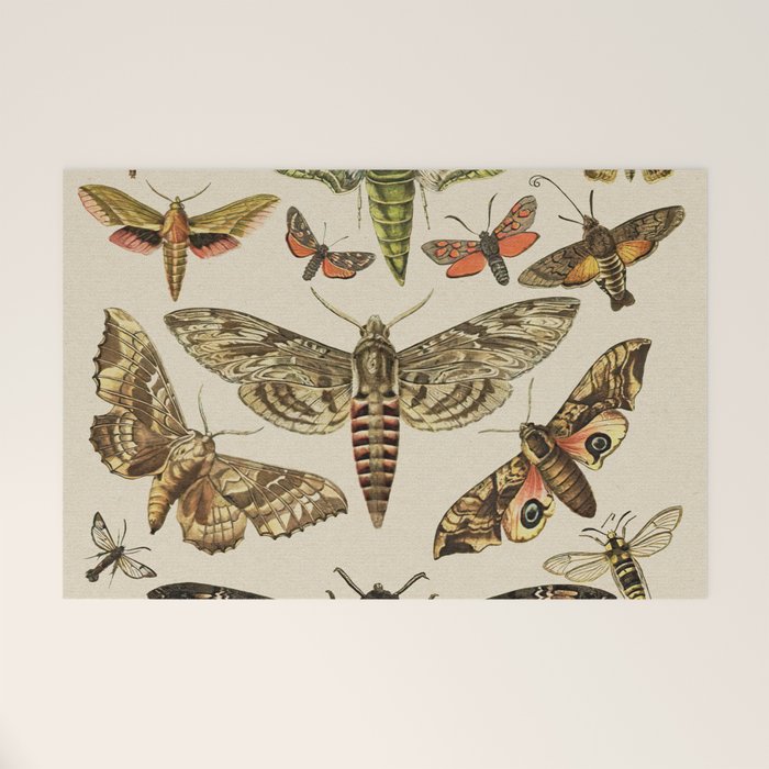 Vintage Scientific Moth Chart Welcome Mat Gallery Image 1