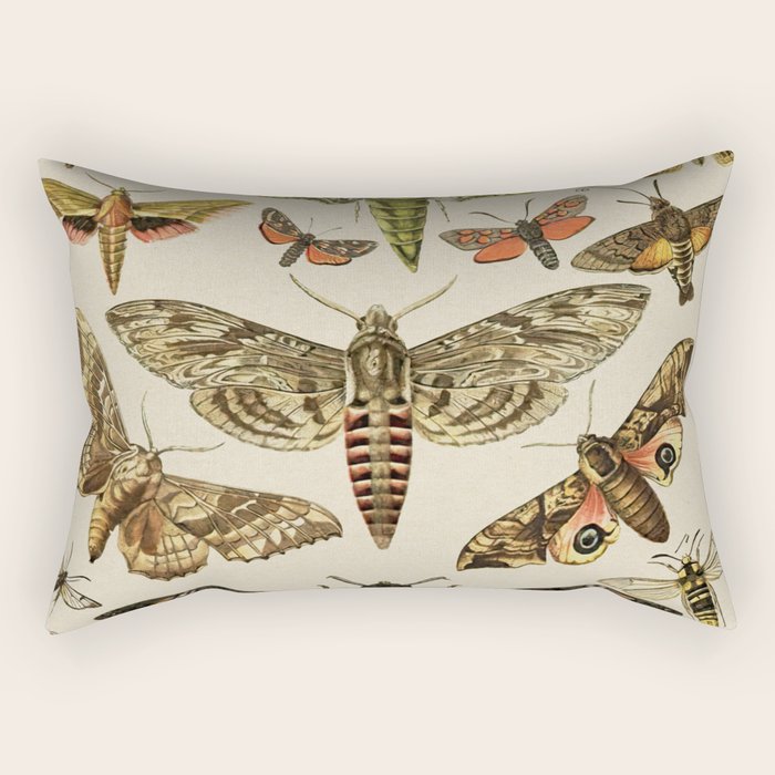 Vintage Scientific Moth Chart Rectangular Pillow Gallery Image 1