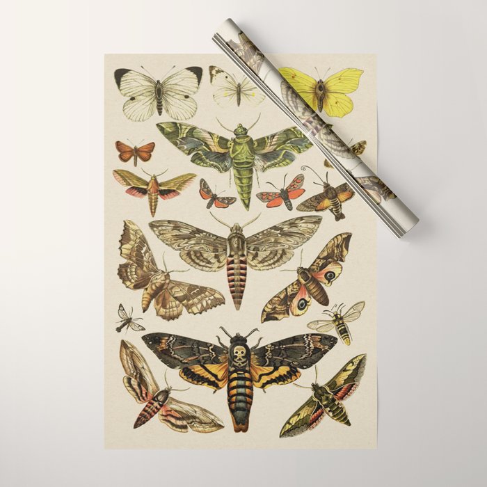 Vintage Scientific Moth Chart Wrapping Paper Gallery Image 1