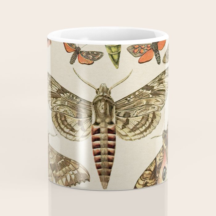 Vintage Scientific Moth Chart Coffee Mug Gallery Image 4