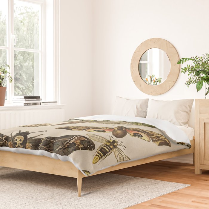 Vintage Scientific Moth Chart Duvet Cover Gallery Image 2
