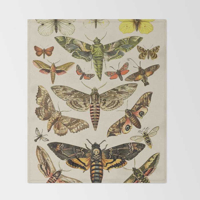 Vintage Scientific Moth Chart Throw Blanket Gallery Image 2