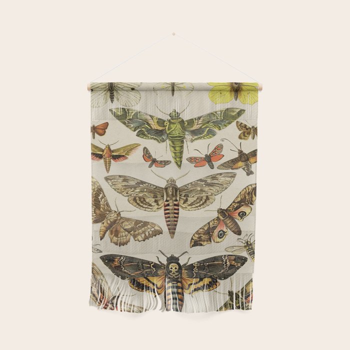 Vintage Scientific Moth Chart Wall Hanging Gallery Image 1