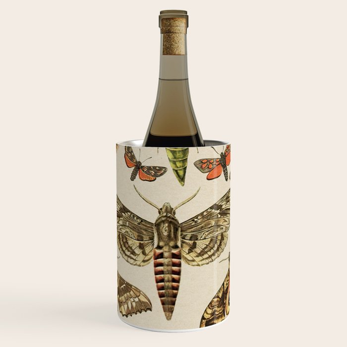 Vintage Scientific Moth Chart Wine Chiller Gallery Image 1