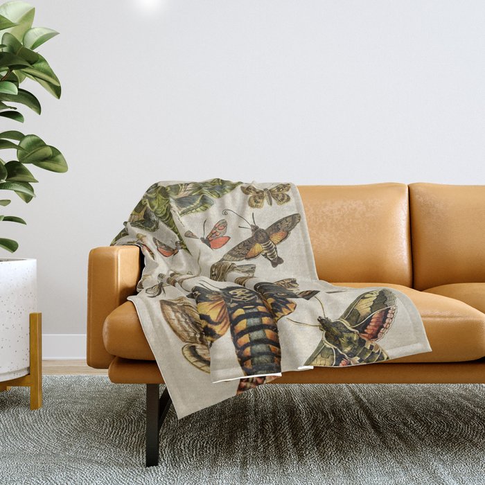 Vintage Scientific Moth Chart Throw Blanket Gallery Image 1