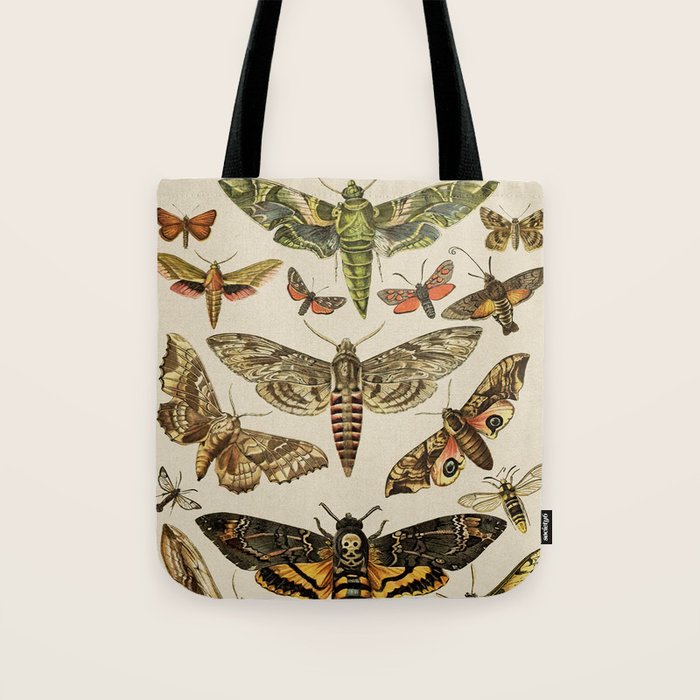 Vintage Scientific Moth Chart Tote Bag Gallery Image 1