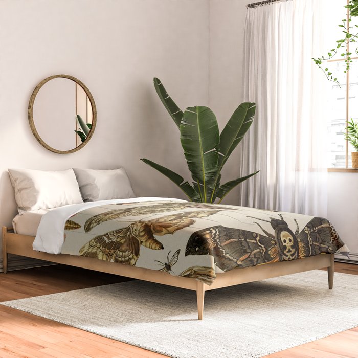 Vintage Scientific Moth Chart Comforter Gallery Image 2