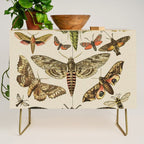 Vintage Scientific Moth Chart Credenza Gallery Image 1
