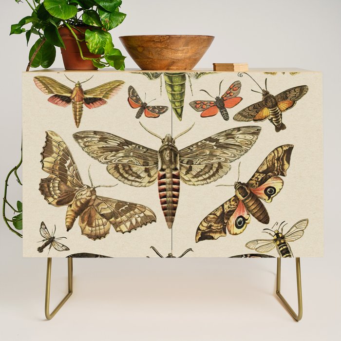 Vintage Scientific Moth Chart Credenza Gallery Image 1