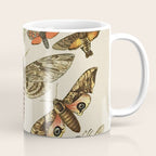 Vintage Scientific Moth Chart Coffee Mug Gallery Image 1