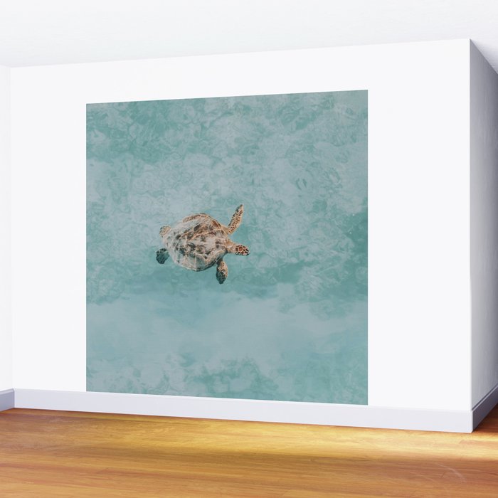 sea turtle vi Wall Mural Gallery Image 2