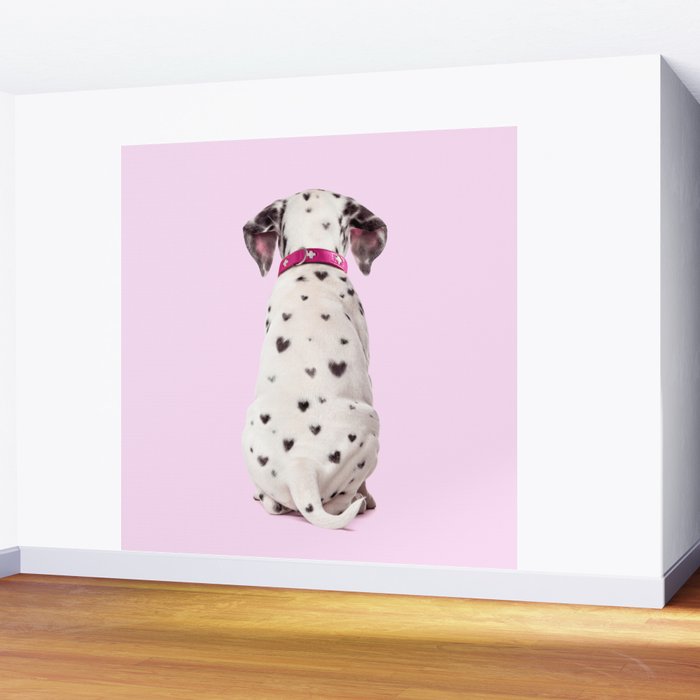 DALMATIAN Wall Mural Gallery Image 2