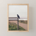 Lone Raven, California | 35mm Film Photography Mini Art Print Gallery Image 1