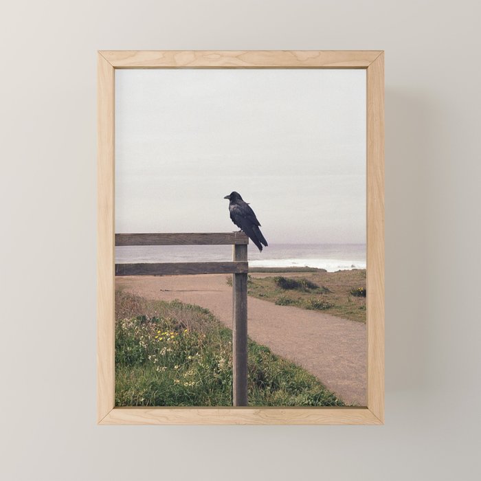 Lone Raven, California | 35mm Film Photography Mini Art Print Gallery Image 1