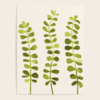Eucalyptus Sprouts - Cute Plant Illustration Poster Gallery Image 4