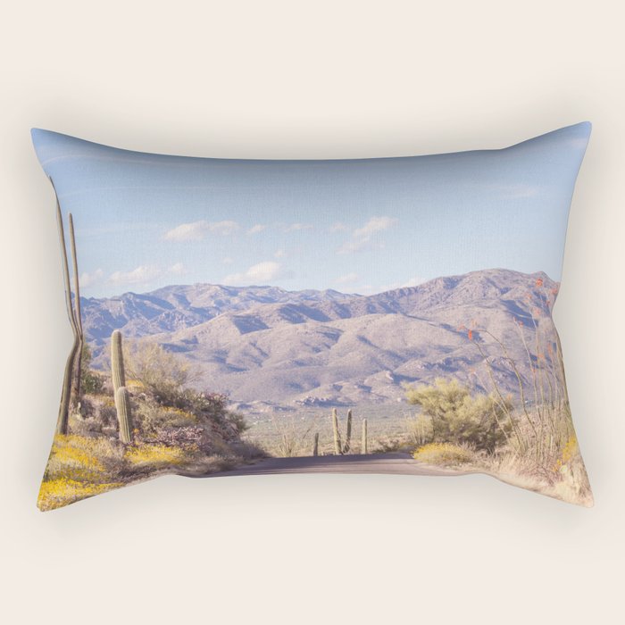 Down Desert Roads, IV Rectangular Pillow Gallery Image 1