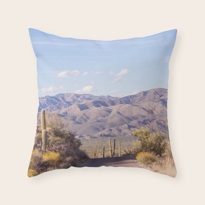 Down Desert Roads, IV Throw Pillow Gallery Image 6