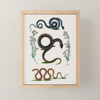 Albertus Seba Three Snakes And Floral Vines  Mini Art Print Gallery Image 1