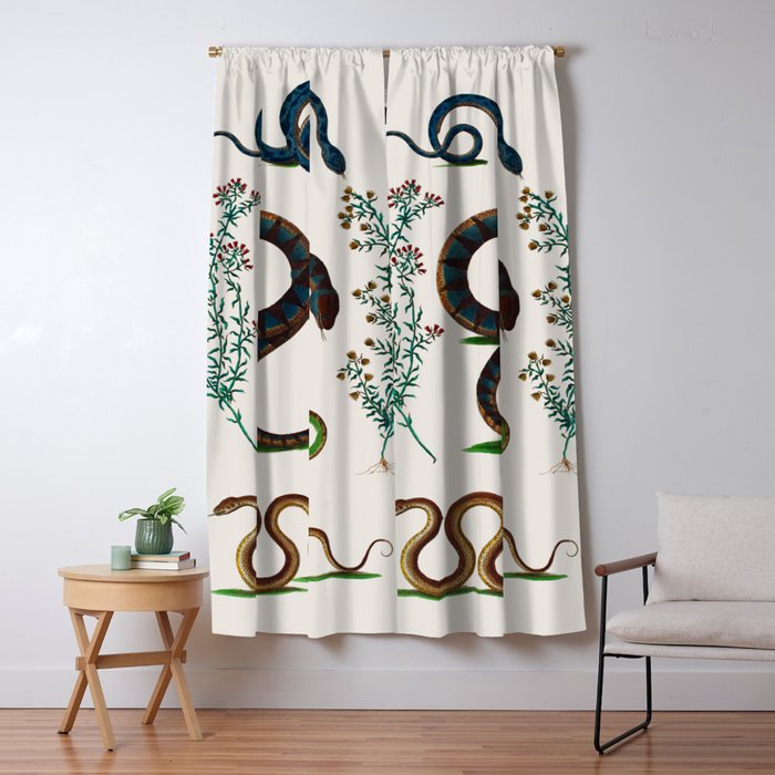 Albertus Seba Three Snakes And Floral Vines  Window Curtain Gallery Image 5