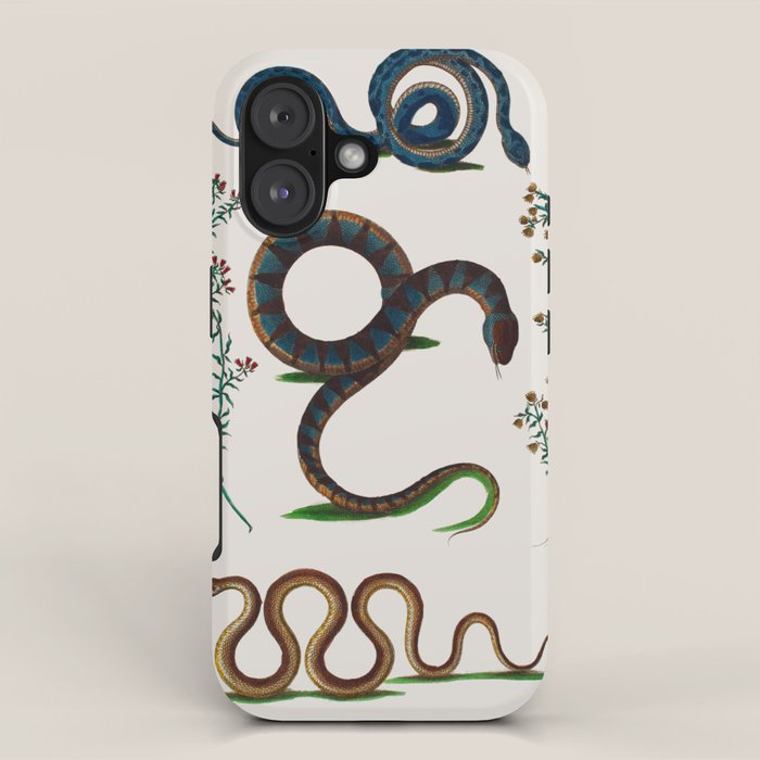 Albertus Seba Three Snakes And Floral Vines  iPhone Case Gallery Image 1